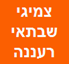 B144 Logo - Link to main page